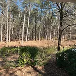 营地 Mobilhome Landes Les Dunes De Contis 波讷地区圣朱利安