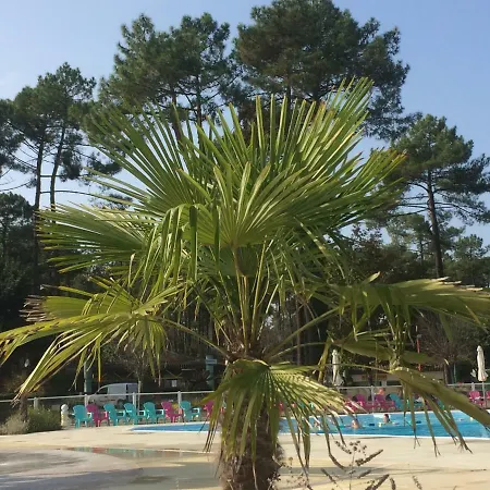 Mobilhome Landes Les Dunes De Contis Kemping