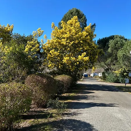 Mobilhome Landes Les Dunes De Contis *