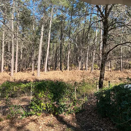 Camping Mobilhome Landes Les Dunes De Contis Saint-Julien-en-Born