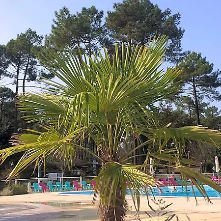 Mobilhome Landes Les Dunes De Contis Campingplads Saint-Julien-en-Born