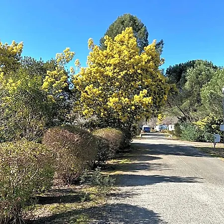 Mobilhome Landes Les Dunes De Contis *