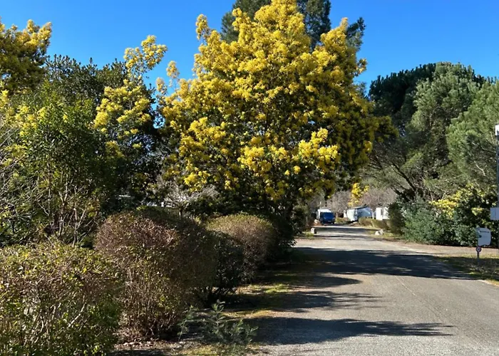 Mobilhome Landes Les Dunes De Contis *